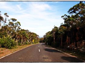 Wattamolla Royal National Park 8th December 2010 002