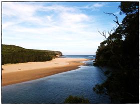 Wattamolla Royal National Park 8th December 2010 003