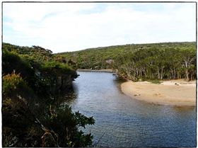 Wattamolla Royal National Park 8th December 2010 004