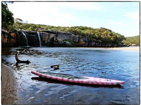 Wattamolla Royal National Park 8th December 2010 007