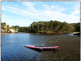 Wattamolla Royal National Park 8th December 2010 014