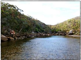 Wattamolla Royal National Park 8th December 2010 015