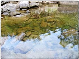 Wattamolla Royal National Park 8th December 2010 019