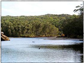 Wattamolla Royal National Park 8th December 2010 020