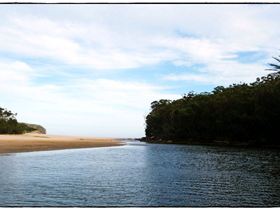 Wattamolla Royal National Park 8th December 2010 025