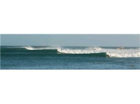 surf-waves-hikkaduwaBeach
