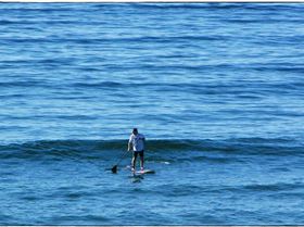 Stand Up Paddle