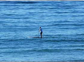 Stand Up Paddle