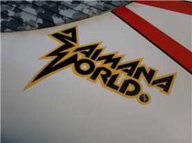 C4 9'8 x 28.5" Raimana