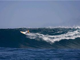 dave-kalama-by-erik-aeder7877-12