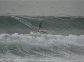 Main Sup Jan 2011 049