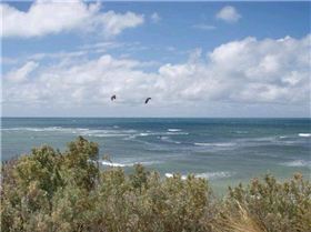 Pt Danger 002 (Small)