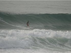 Main Sup Jan 2011 050