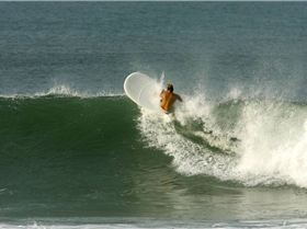 a bit of lip service