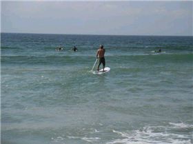Cronulla Sutherland SUP Club DEMO Day