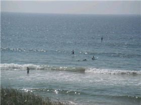 Cronulla Sutherland SUP Club DEMO Day