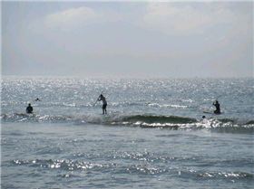 Cronulla Sutherland SUP Club DEMO Day