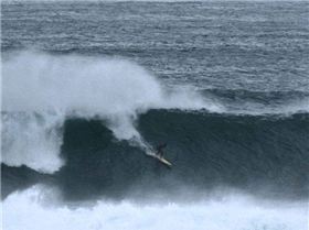 348492-courtenay-gray-images-by-steven-scarvelis