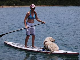 Stand Up Paddle