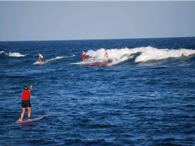 heres a few from the bombathon