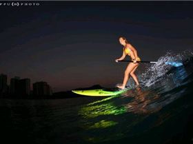 4501 1142626520041 1058793695 30429109 4624767 n