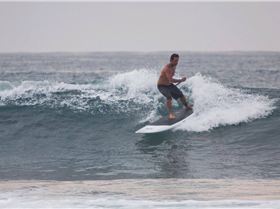 trip north march5 91