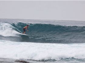 trip north march5 112