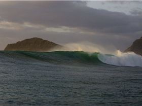 c)mozophoto08HG7M1803