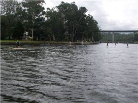 Cronulla SUP Club Social Day