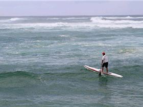 Stand Up Paddle