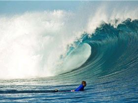 20110321 namotu joli TAW5067