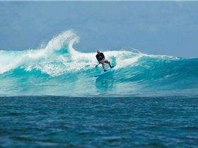 20110323 namotu joli TAW7777