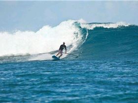 20110323 namotu joli TAW7682