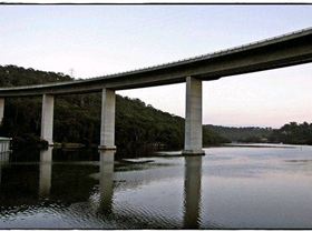 5584358677 c37e8a340e z