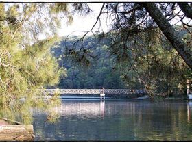 5584364023 138352f7f1 z