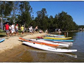 5584959916 bcded66a1c z