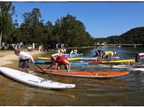 5584965088 c17f61bb6b z