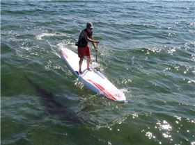 Jonathan's new board