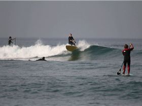 Stand Up Paddle