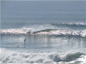 Pete T & Kramer enjoyin a lovely Moffs mornin