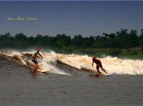 Fab David SensedukRights.jpg