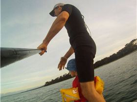 Watching the Dolphins