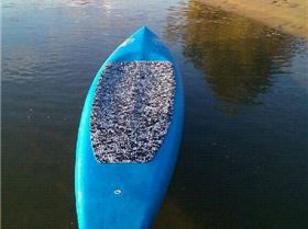 !cid 100MEDIA IMAG0086