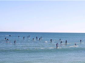 2009 Whalebone SUP Race