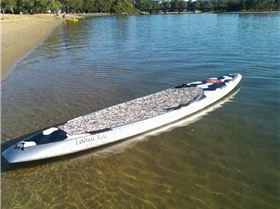 !cid 100MEDIA IMAG0118