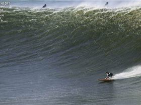 Winki - Steve Ryan  july 11 2011