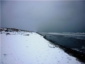 283369 10150323180520802 658250801 9560533 2737997 n