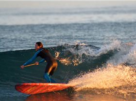Stand Up Paddle