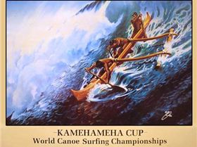 kamehamehacup lg