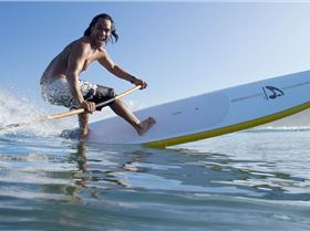 Amundson action & bamboo flex